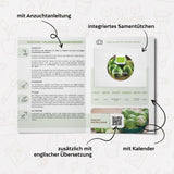 BIO Rosenkohl Samen (Groninger) - Rosenkohl Saatgut aus biologischem Anbau (30 Korn) - HappySeed