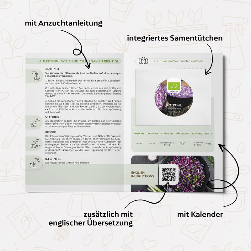 BIO Rotkohl Samen (Red Drumhead) - Rotkohl Saatgut aus biologischem Anbau (125 Korn) - HappySeed