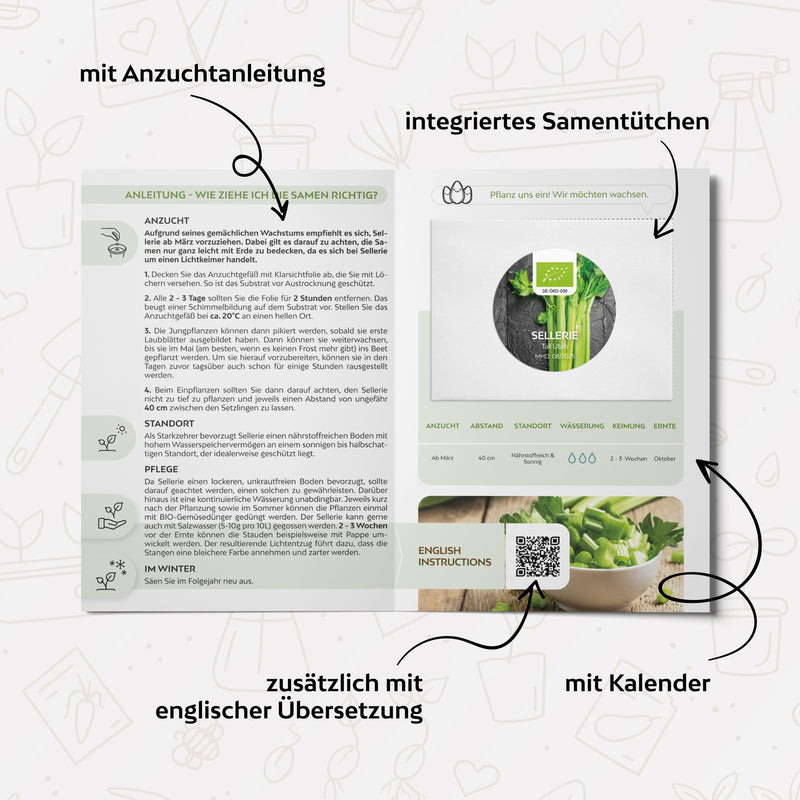 BIO Selleriesamen (Tall Utah) - Staudensellerie Saatgut aus biologischem Anbau (250 Korn) - HappySeed