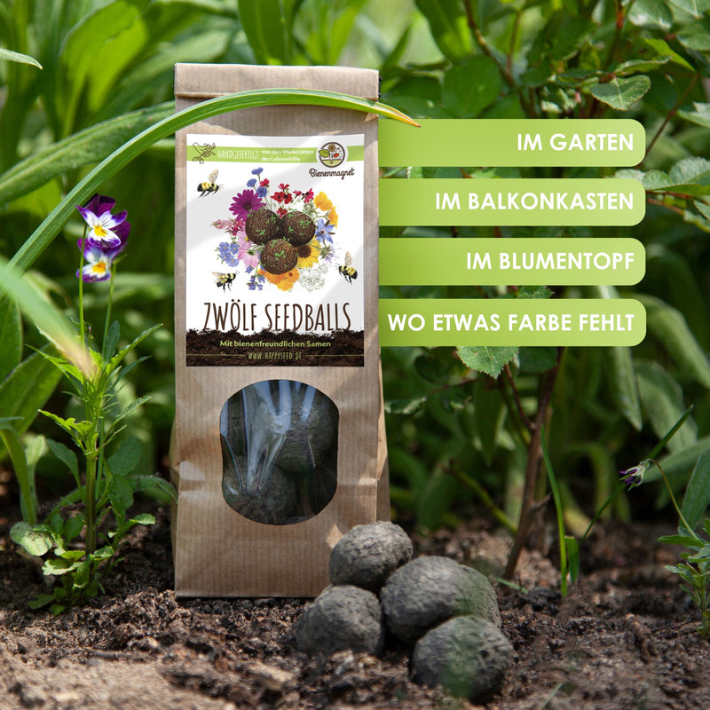 12x Samenbomben für eine bunte Bienenweide - Farbenfroh & nektarreich für Bienen und Schmetterlinge - HappySeed