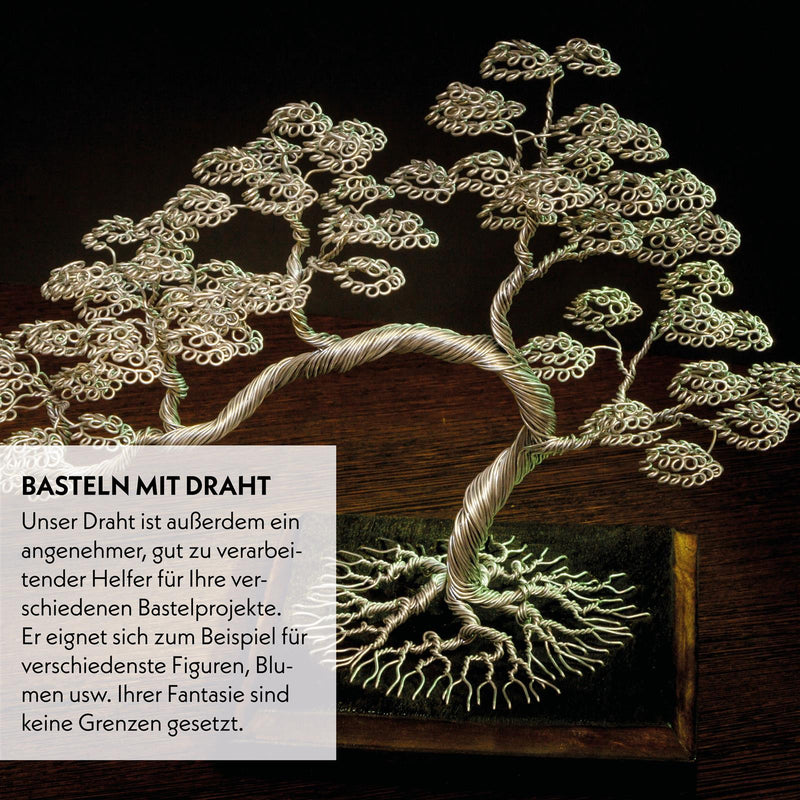 Bonsai Draht aus eloxiertem Aluminium, Schwarz – HappySeed