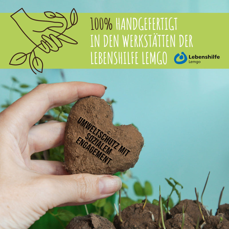 12x Samenbomben für eine bunte Bienenweide - Farbenfroh & nektarreich für Bienen und Schmetterlinge - HappySeed