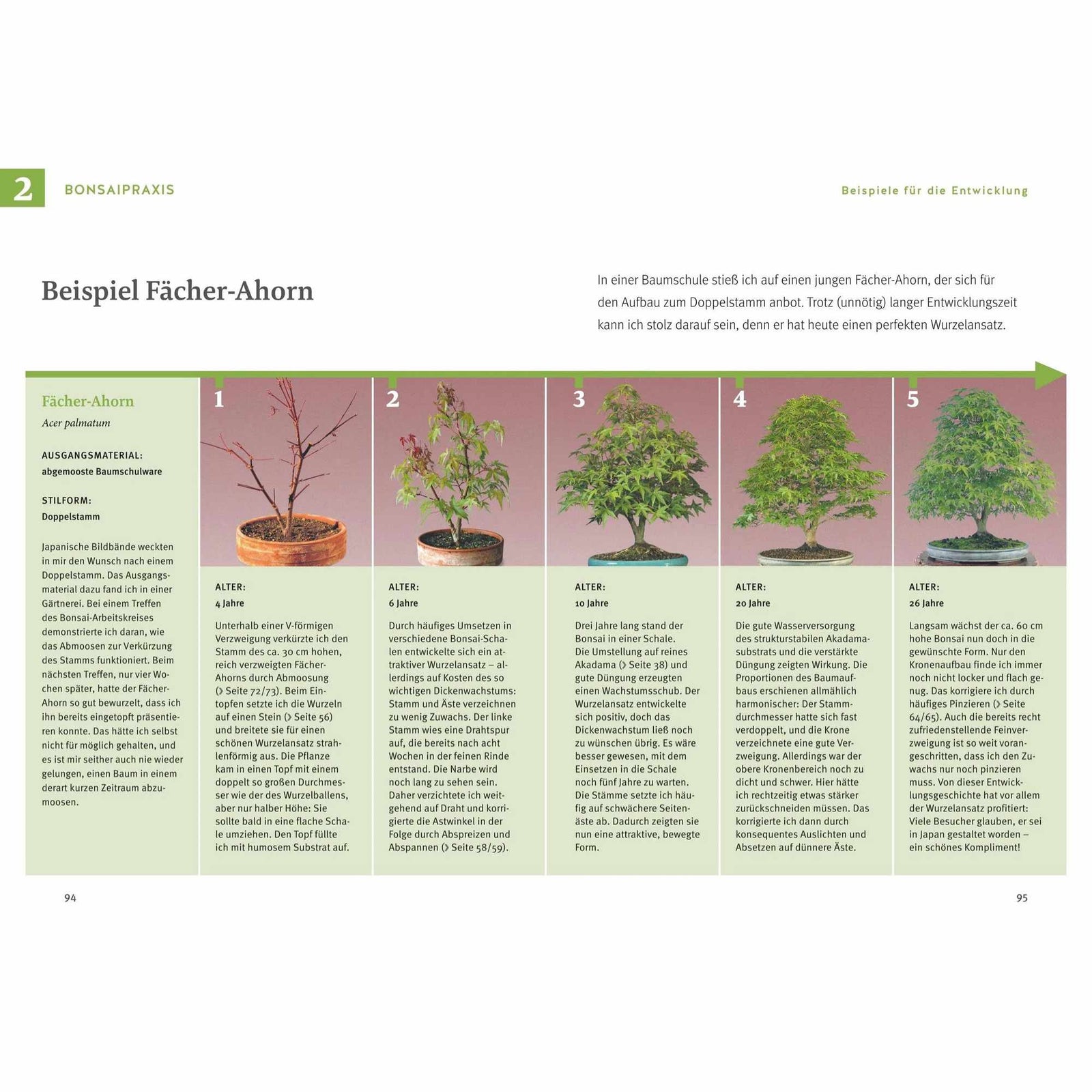 Bonsai ziehen, gestalten und pflegen