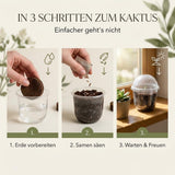 Adenium obesum Saatgut aus dem GROW2GO Set mit hoher Keimrate