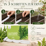 Ausgerolltes 5m Saatband mit Rucola Samen, gleichmäßig vorgesät auf biologisch abbaubarem Papier