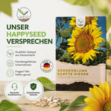 Aussaatanleitung für Sonnenblumen Samen mit Saattiefe, Pflanzabstand und Blütezeit
