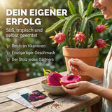 Aussaatanleitung für Pitaya Samen mit Keimtemperatur, Saattiefe und Keimdauer