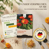 Aussaatanleitung für Ringelblumen Samen mit Saattiefe, Pflanzabstand und Blütezeit