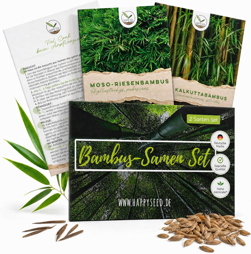 Bambus Samen 2er Set von HappySeed mit Moso Riesenbambus und Kalkuttabambus