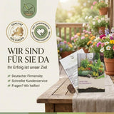 Blumen Mix als bunte Blumenwiese im Beet