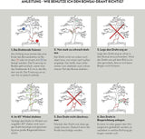 Bonsai Draht in Schwarz, unauffällig an Stamm und Ästen des Bonsais