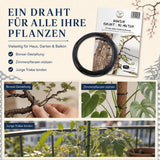 Bonsai Draht um einen Ast gewickelt zur Formgebung des Baums