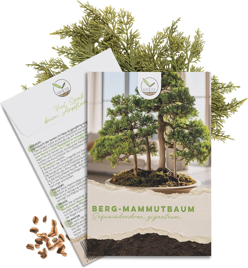 Bonsai Samen Set Berg Mammutbaum von HappySeed mit Saatgut und Anleitung