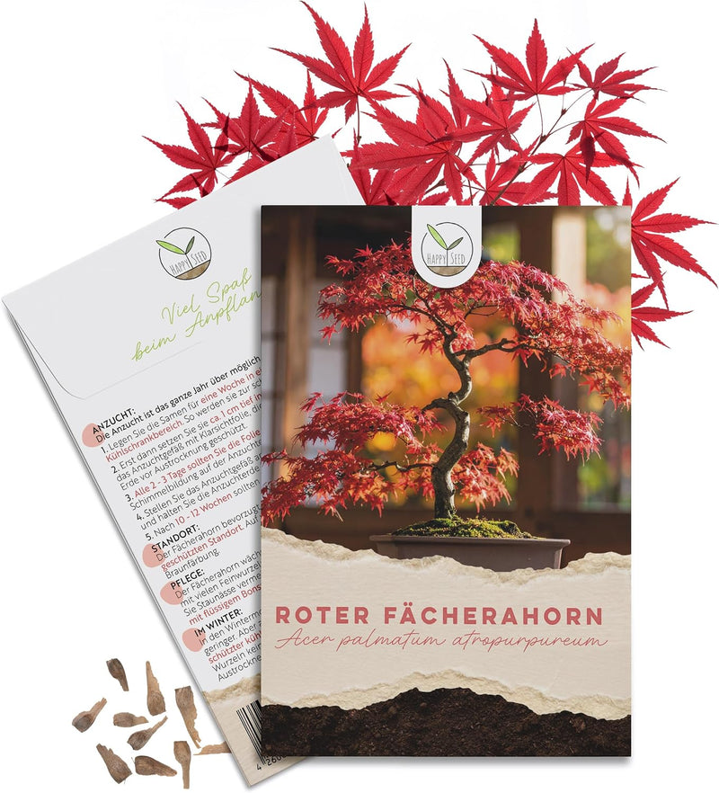 Bonsai Samen Set Roter Fächerahorn von HappySeed mit Saatgut und Anleitung