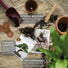 Bonsai Set aus Kokostöpfen als nachhaltige Geschenkidee für Pflanzenfreunde