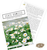 Echte Kamille Samen Matricaria chamomilla von HappySeed im umweltschonenden Samenpäckchen