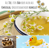 Echte Kamille als Beimischung in einer bunten Blumenwiese