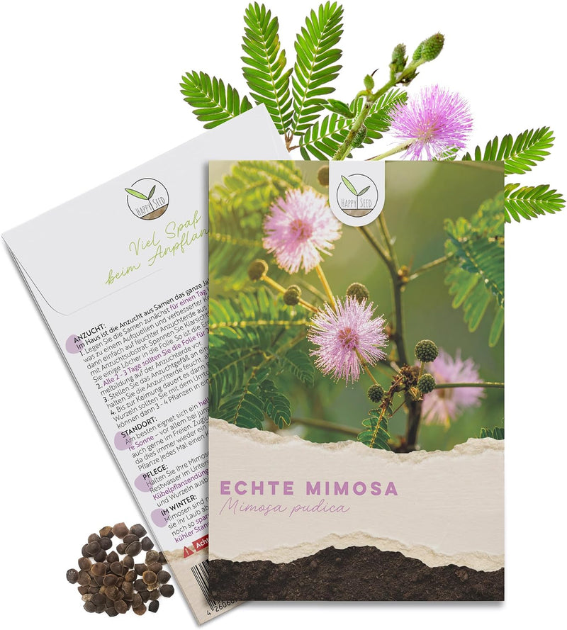 Echte Mimose Samen Mimosa pudica von HappySeed im umweltschonenden Samenpäckchen