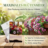 Einzelne Petunienblüte mit geäderten Blütenblättern in Nahaufnahme