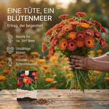 Essbare Blütenblätter der Ringelblume zum Verfeinern von Salaten