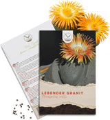 Exotisches Kakteen Samen Set von HappySeed mit Saatgut des Lebenden Granits