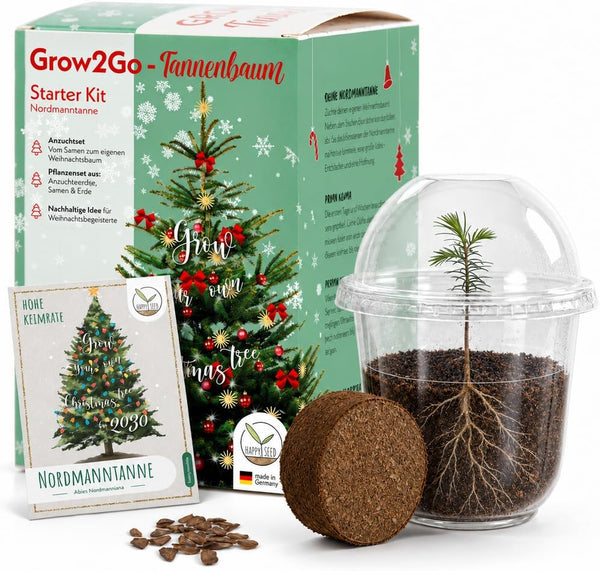 GROW2GO Weihnachtsbaum zum selber Pflanzen