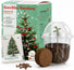 GROW2GO Anzuchtset Weihnachtsbaum zum selber Pflanzen mit Mini-Gewächshaus, Nordmanntanne Samen und Erde