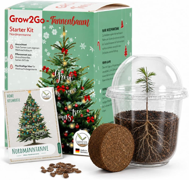 GROW2GO Anzuchtset Weihnachtsbaum zum selber Pflanzen mit Mini-Gewächshaus, Nordmanntanne Samen und Erde