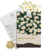 Gänseblümchen Samen - Bellis perennis - HappySeed