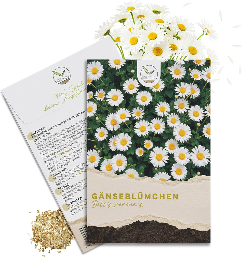 Gänseblümchen Samen - Bellis perennis - HappySeed