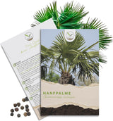 Hanfpalme Samen Chamaerops excelsa von HappySeed im umweltschonenden Samenpäckchen
