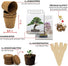 Inhalt des Bonsai Pflanzsets mit Kokostöpfen, zwei Samentütchen, Quelltabletten und Anleitung