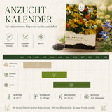 Island Mohn als wunderschön blühende, bunte Blumenwiese