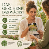 Junge Sämlinge der Faucaria tigrina aus dem Sukkulenten Samen Set