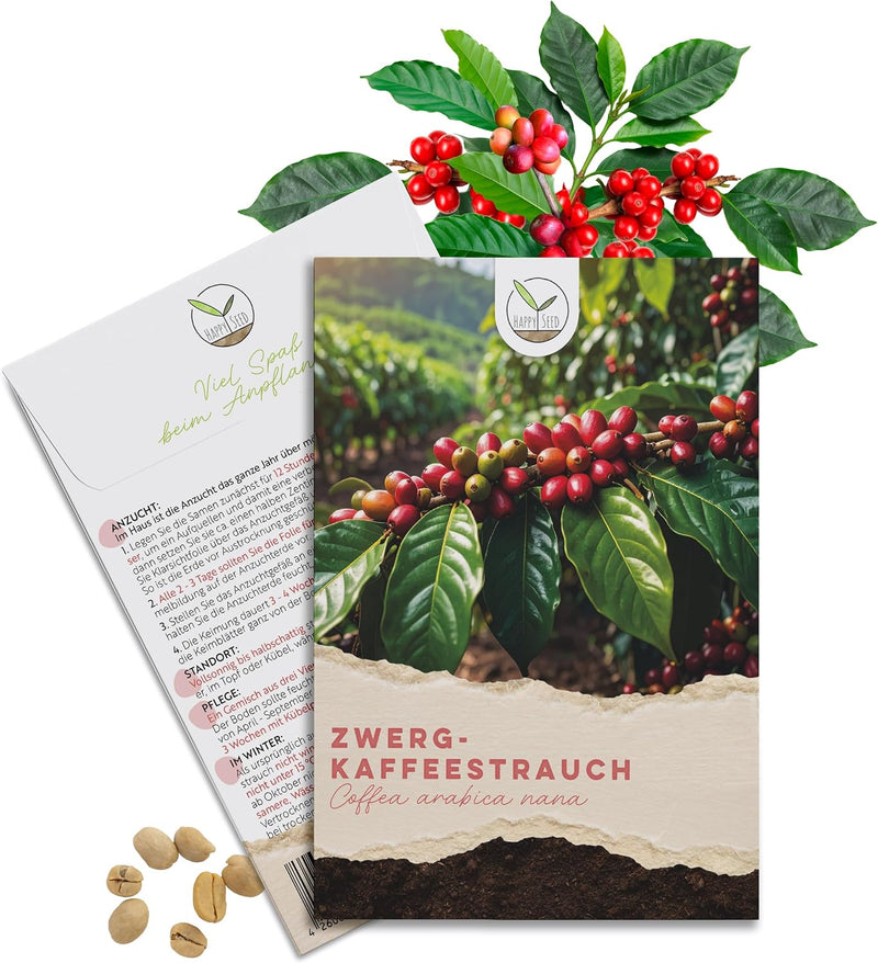 Kaffee Samen Coffea arabica nana von HappySeed mit 8 Korn im umweltschonenden Samenpäckchen