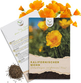 Kalifornischer Mohn Samen Mix Eschscholzia californica von HappySeed im umweltschonenden Samenpäckchen