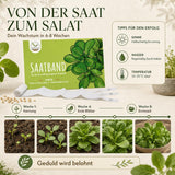 Feldsalat aus dem Saatband im Balkonkasten, ideal für Balkon und Terrasse