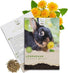 Löwenzahn Samen für Kaninchen von HappySeed mit 5.000 Samen im Wildkräuter Päckchen