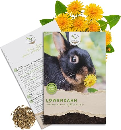 Löwenzahn Samen für Kaninchen von HappySeed mit 5.000 Samen im Wildkräuter Päckchen