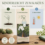 Madagascar-Palme als dornige Stammsukkulente mit palmenartiger Blattkrone