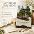 Mammutbaum Bonsai in der Bonsaischale als außergewöhnliche Zimmerpflanze