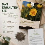 Mohnblumen als wunderschön blühende, bunte Blumenwiese