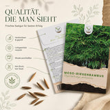 Moso Riesenbambus mit dicken, hohen Halmen im dichten Bambushain