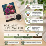 Pflanzenprofil Drachenfrucht mit hellem Standort, Rankhilfe und wärmeliebendem Wuchs