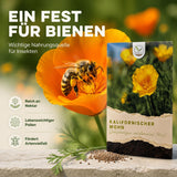 Pflanzenprofil Kalifornischer Mohn mit vollsonnigem Standort, trockenheitsverträglich und Wuchshöhe bis 40 cm