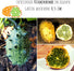 Reife Kiwano Frucht mit orangeer Schale und charakteristischen Stacheln