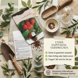 Rote, warzige Früchte des Erdbeerbaums am Zweig