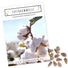 Topfbaumwoll Samen - Gossypium Herbaceum - HappySeed