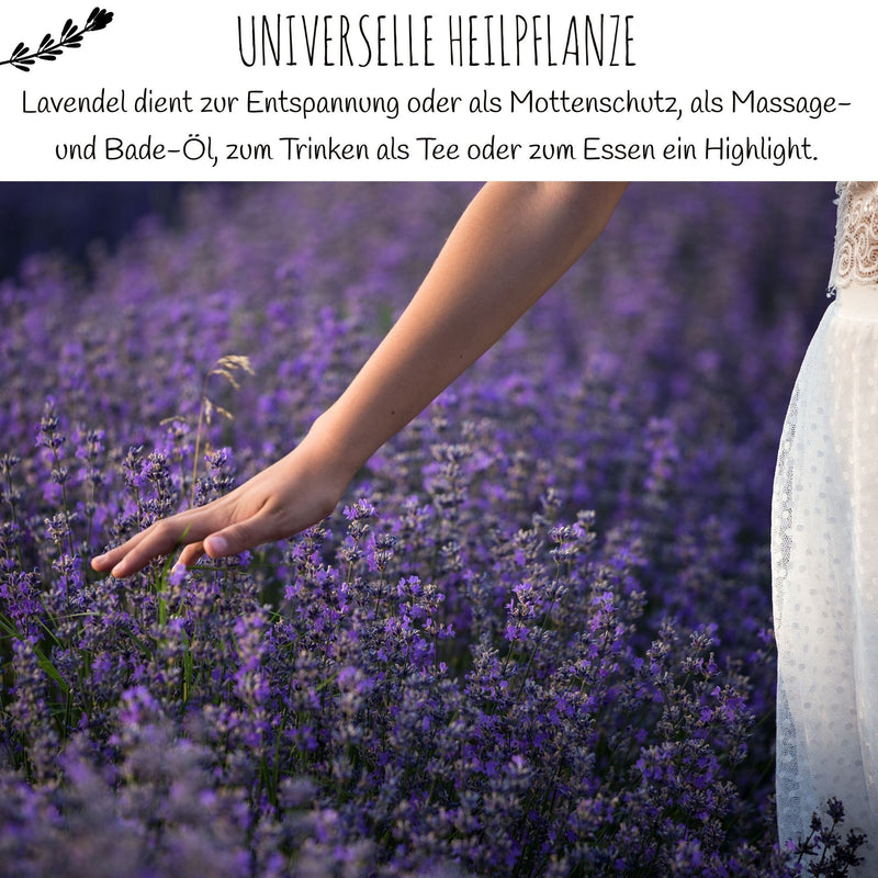 300x Lavendel Samen mit hoher Keimrate - Vielseitig einsetzbare Heilpflanze - HappySeed