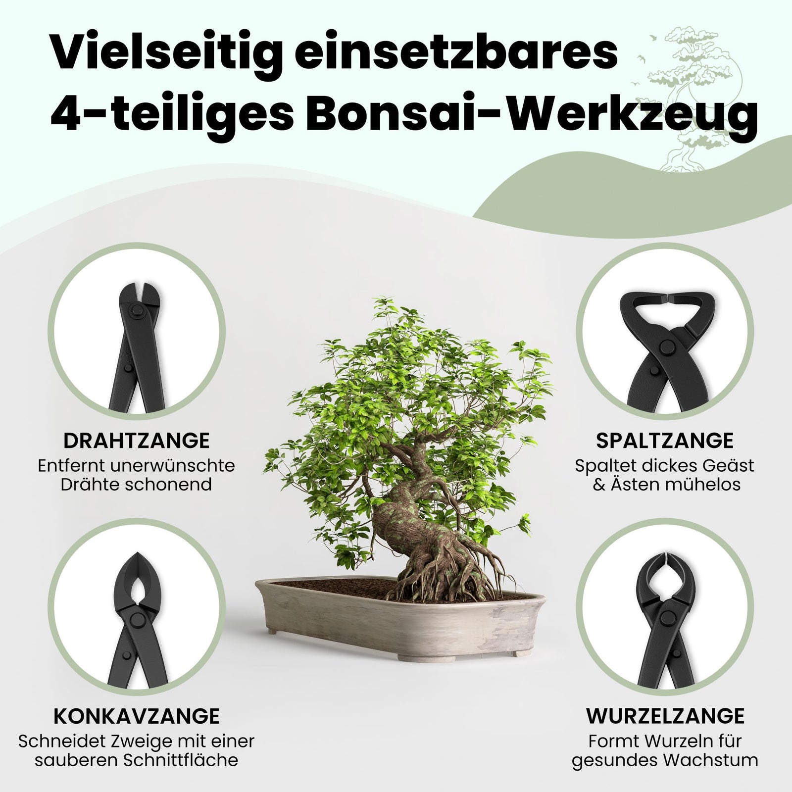 Bonsai Werkzeug-Set Profi 4-teilig aus Stahl mit praktischer Aufbewahr –  HappySeed